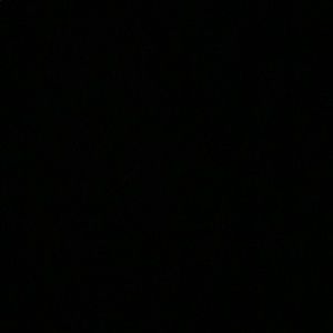 Meet your Posher, Leonard